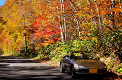Autumn colours