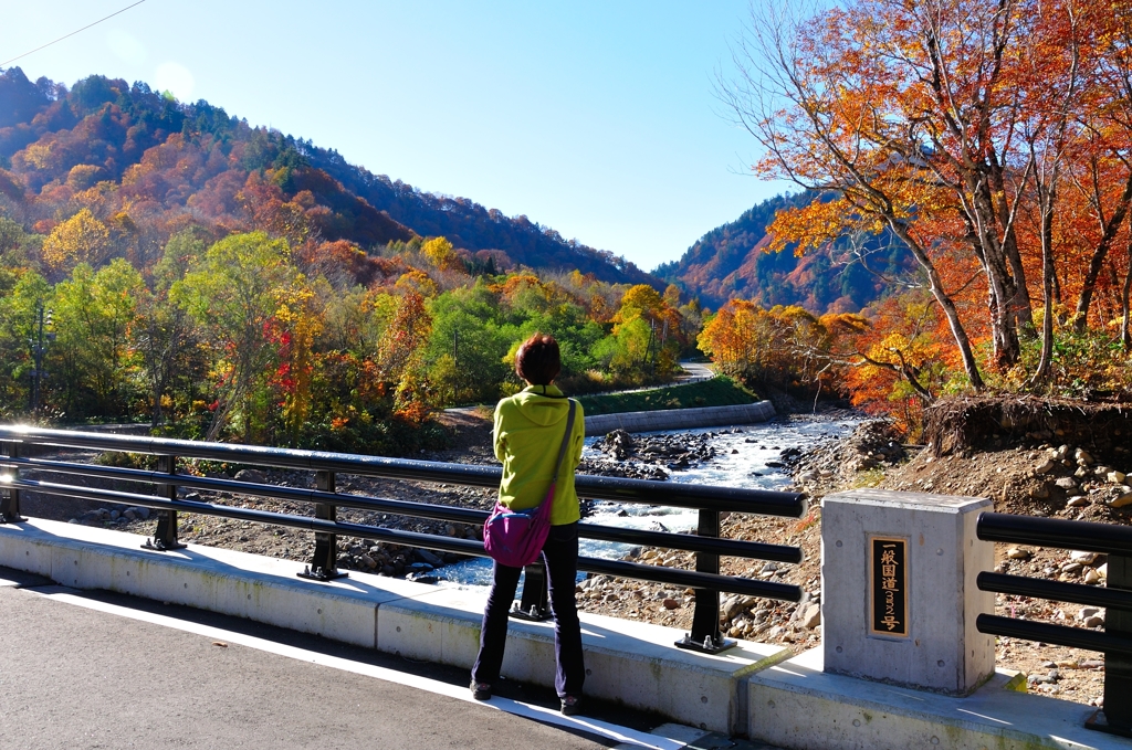 紅葉が見たくて