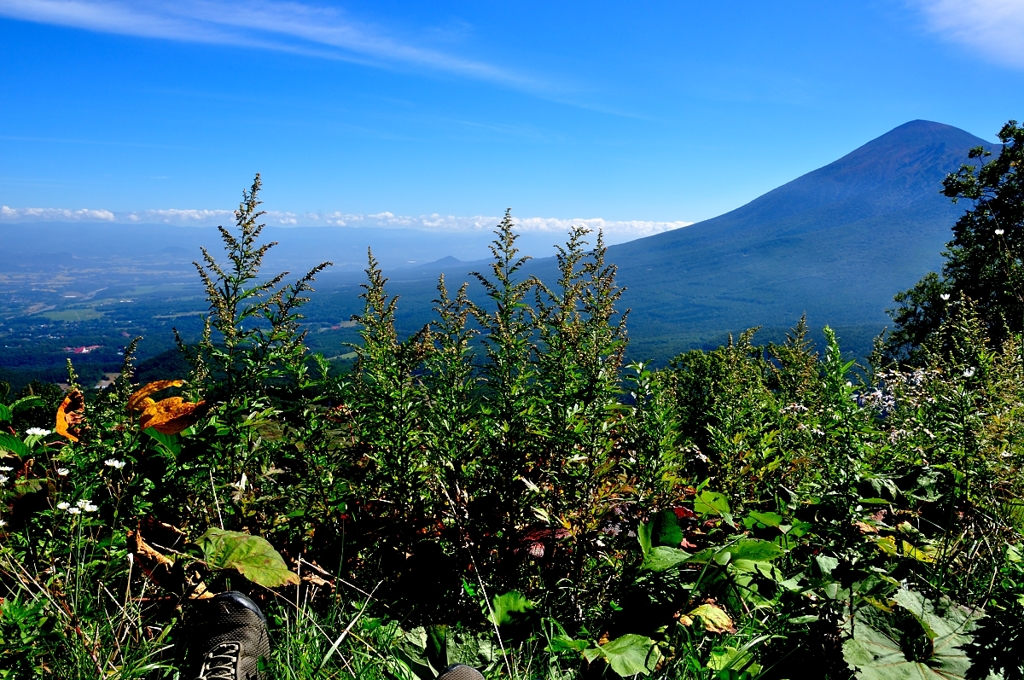 ブランチの風景
