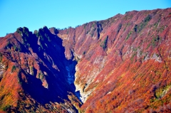 奥只見