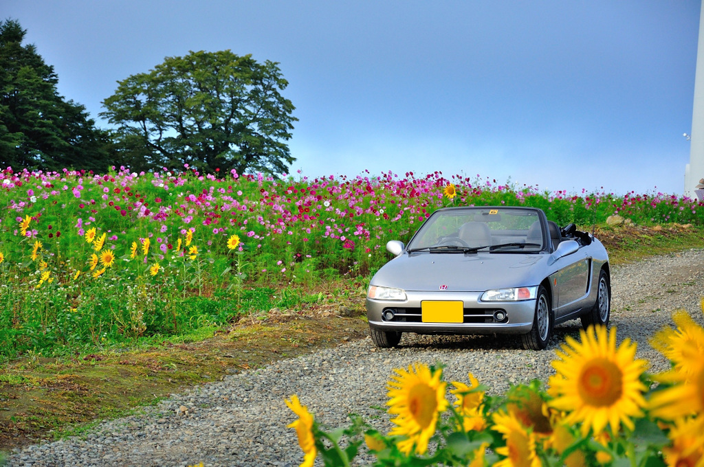 Last summer Early autumn