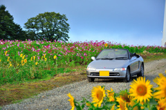 Last summer Early autumn