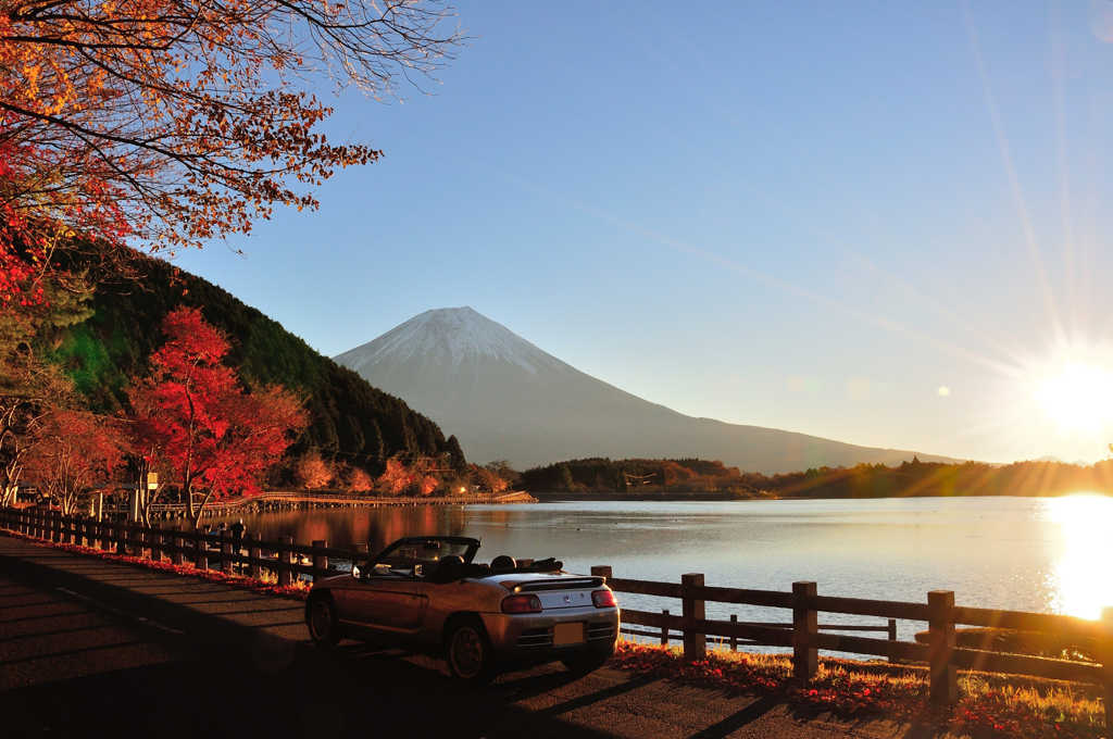 autumn colours