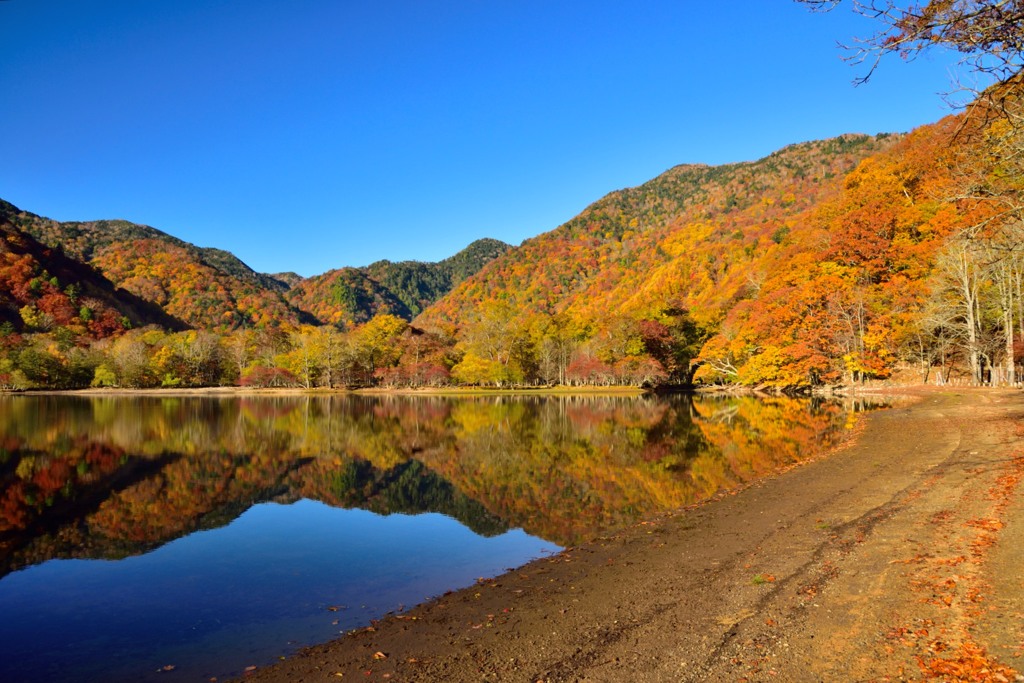 西ノ湖の紅葉