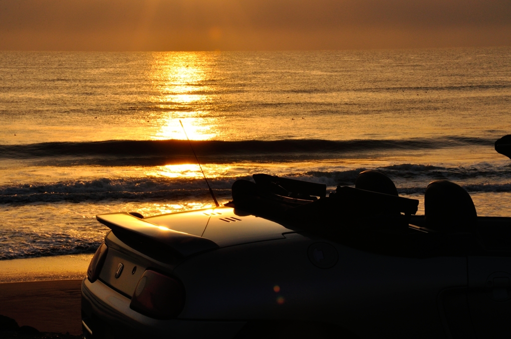 GOLD SUNRISE