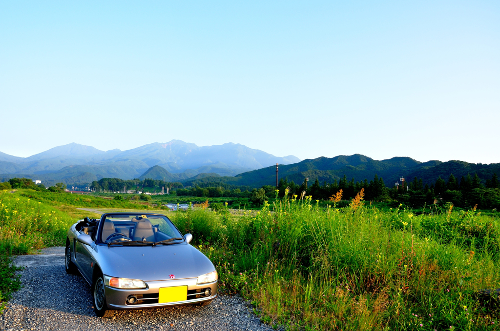 真夏の朝