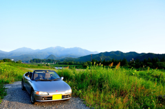 真夏の朝