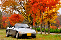 山中湖紅葉_1