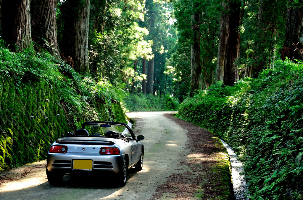 朝の旧街道