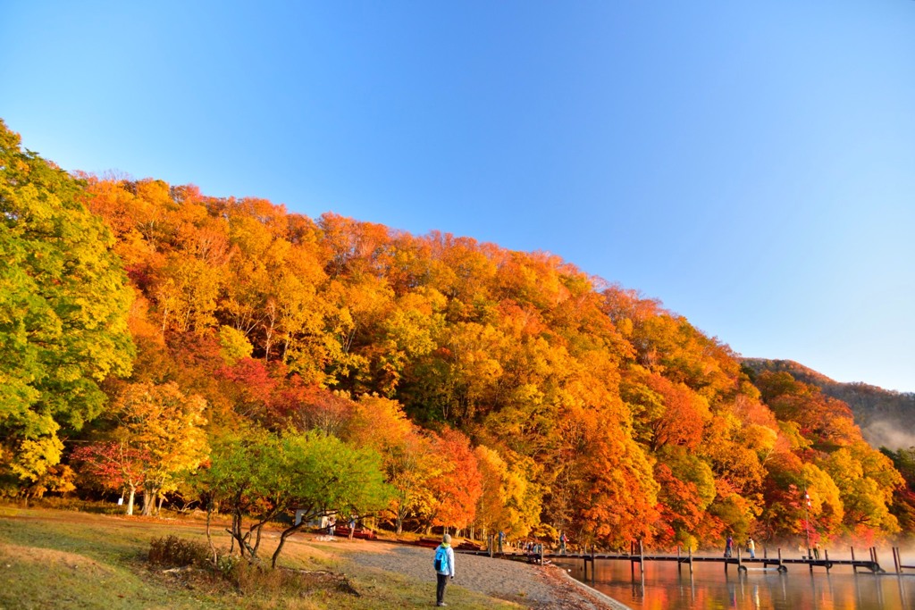 千手ヶ浜の紅葉