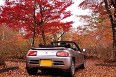 山中湖紅葉_4