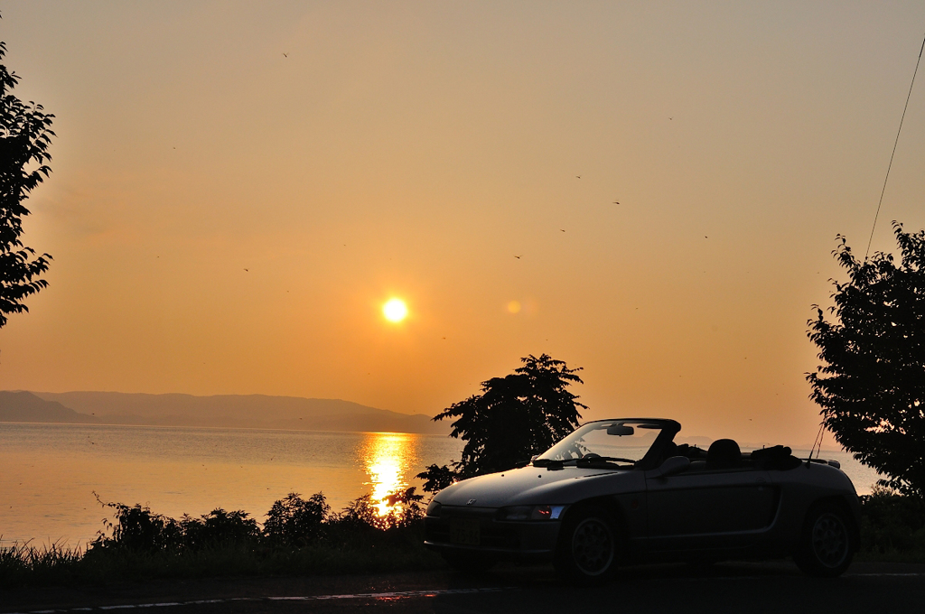 初秋の妖精たち