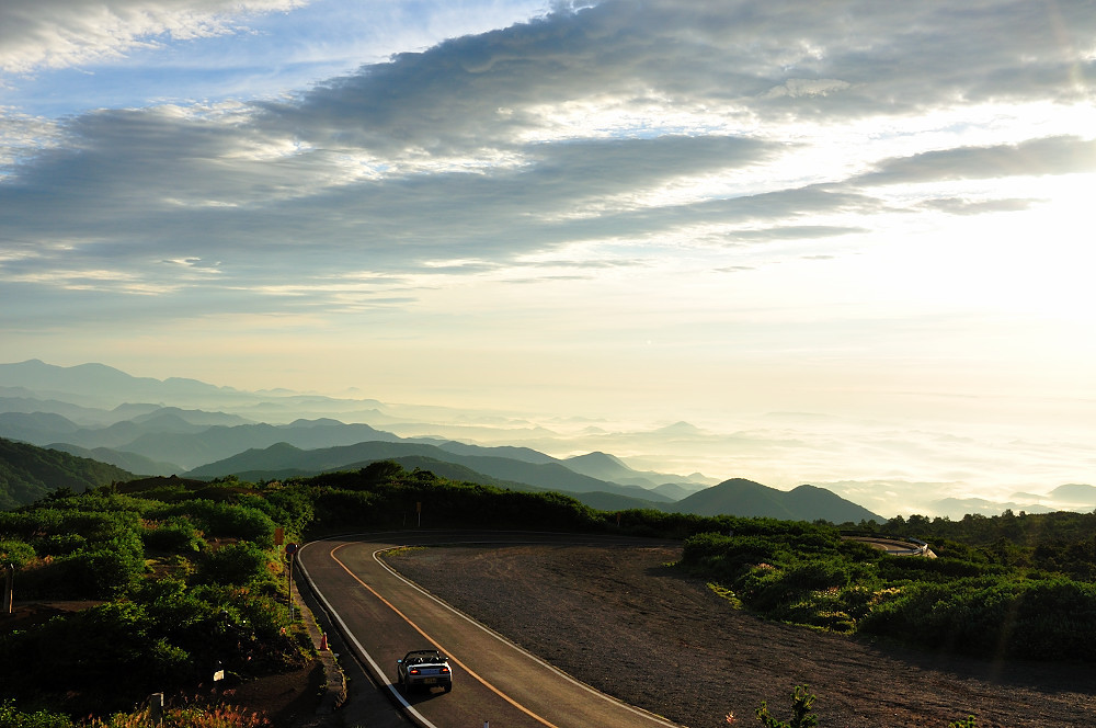 オープンの楽園