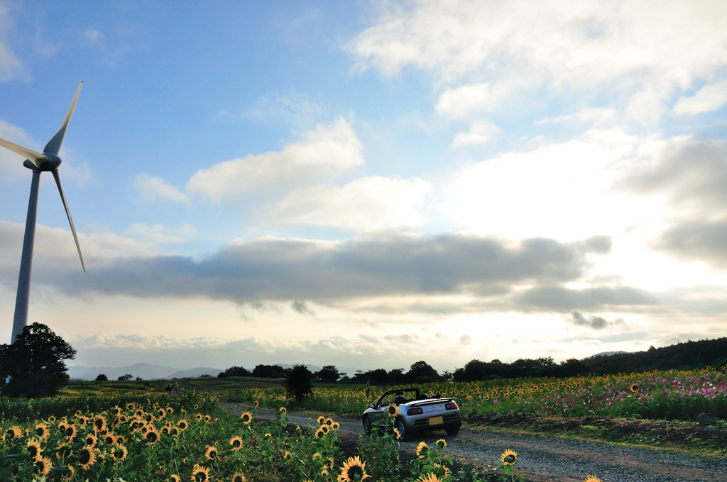 Nunobiki Plateau Wind Farm