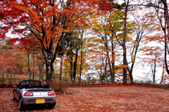 山中湖紅葉_5