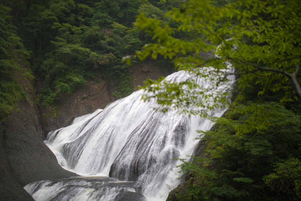 袋田の滝