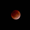 REDMOON