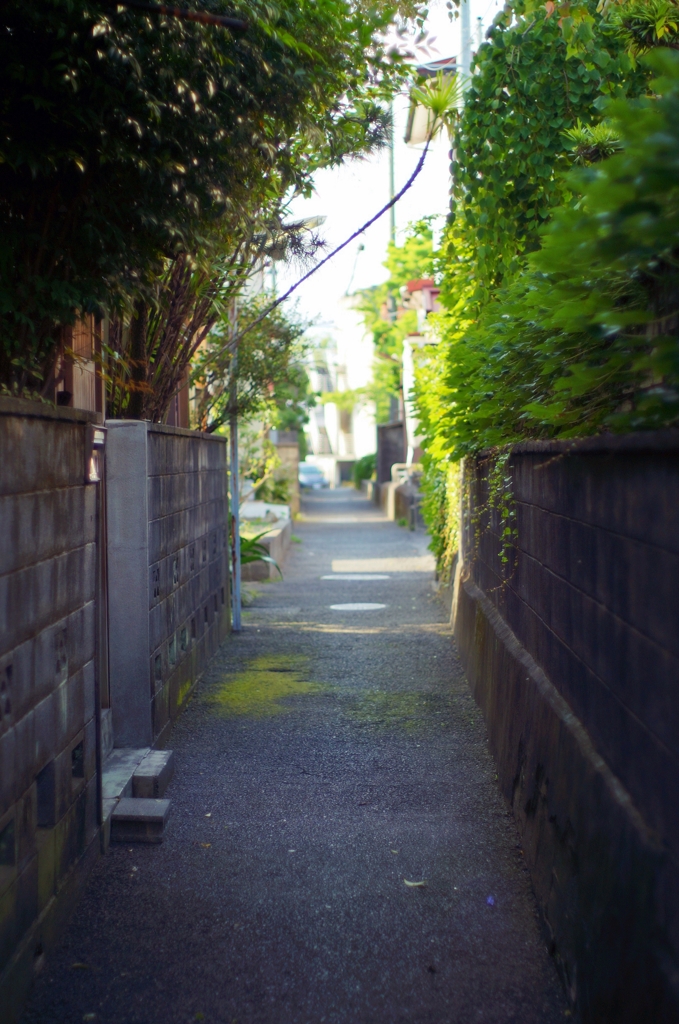 細道