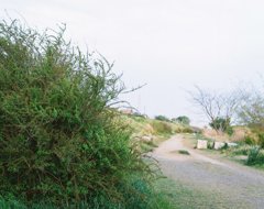 River Side (Tokyo)