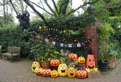 ハロウィン