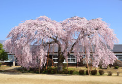 4月