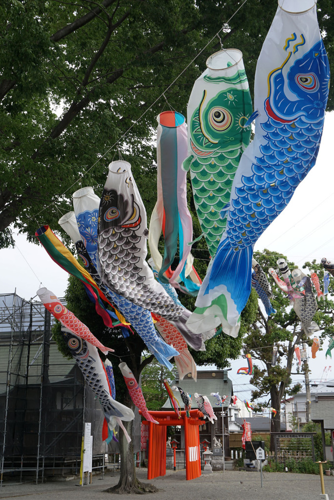 晴れなら
