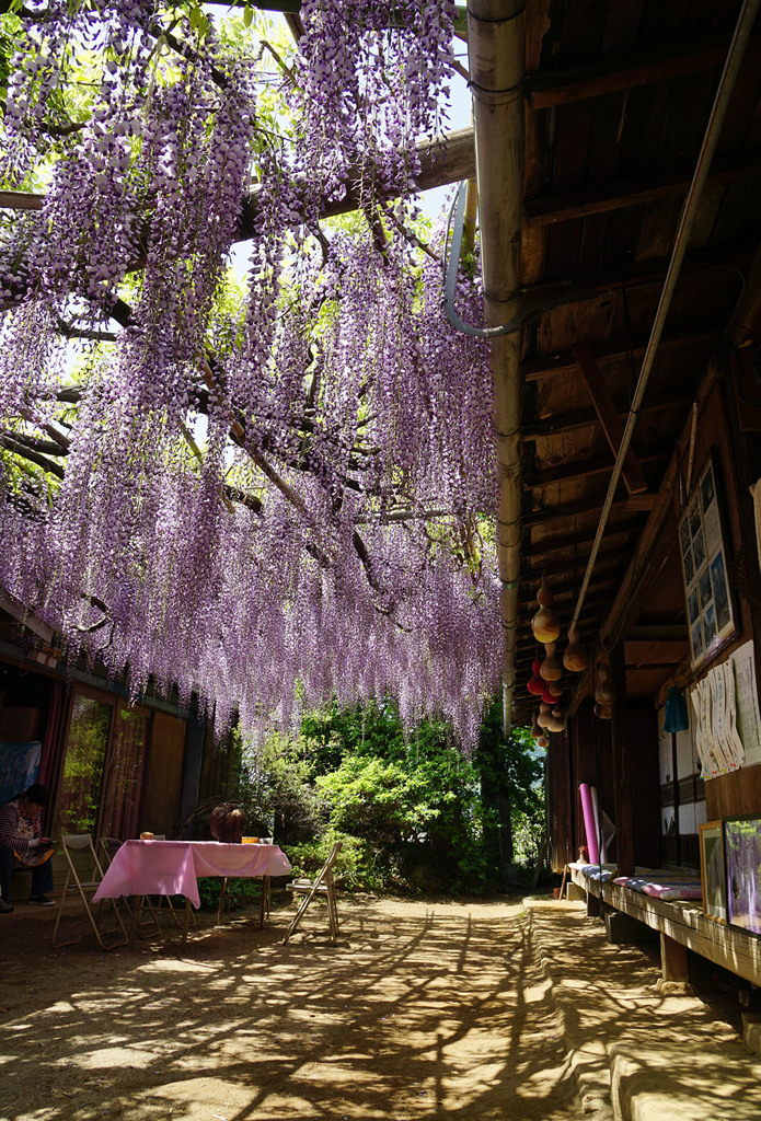香りが。。。