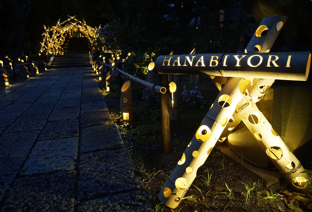 hanabiyori