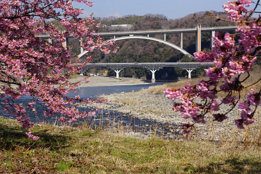 春の風景