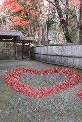 紅葉