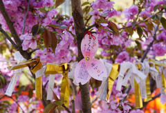 金櫻神社