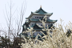 背景は名古屋城