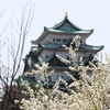 背景は名古屋城