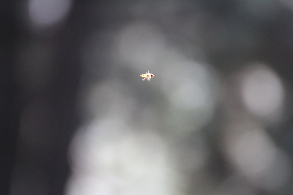 UFO