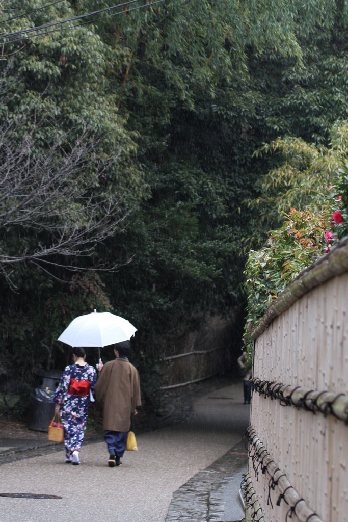 雨の嵯峨野