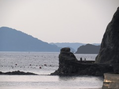 海岸道路