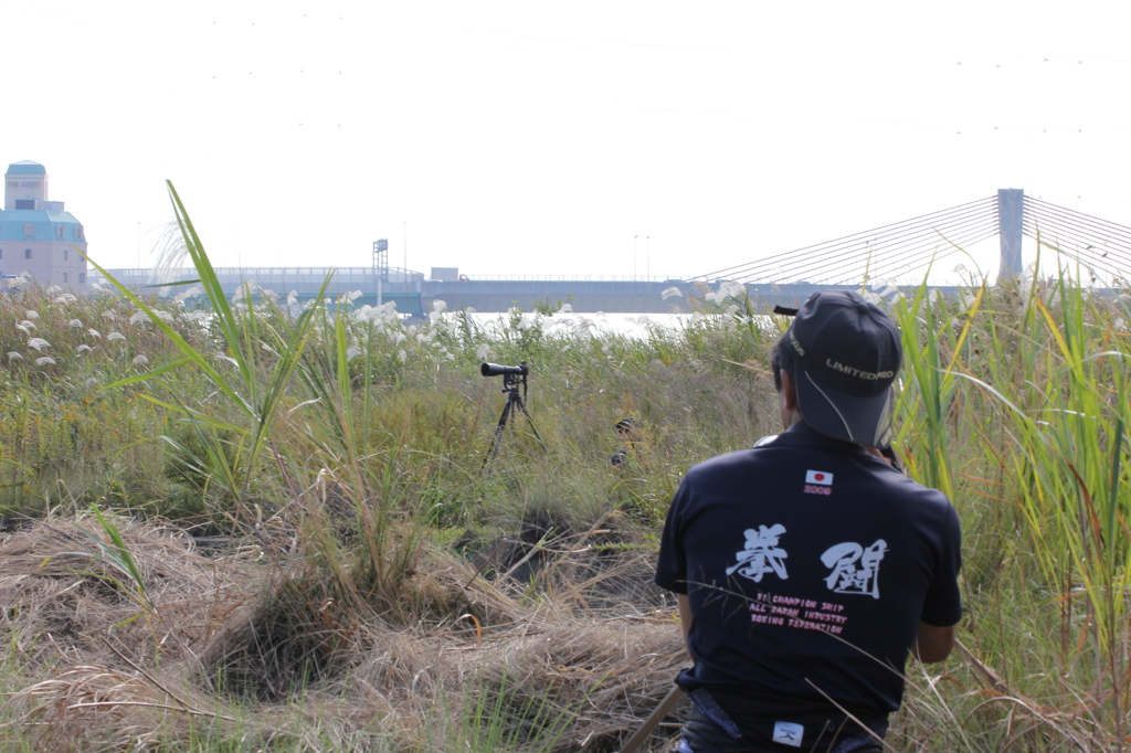 "葉隠れ" 敗れたり