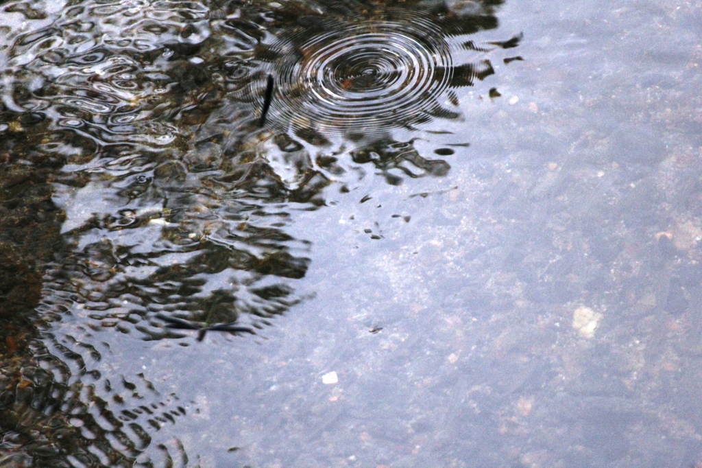 波紋