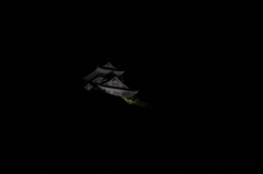 幽玄の城
