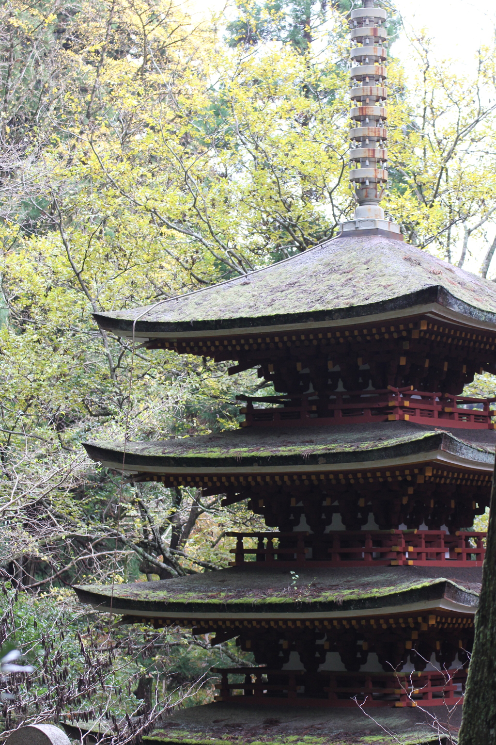 紅葉の室生寺
