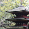 紅葉の室生寺