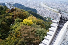 金華山の紅葉