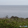 オ～イ!!　元気ですか