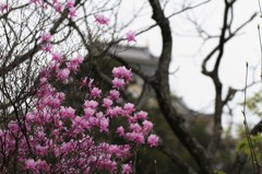 信長の夢
