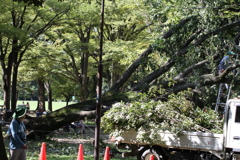 台風被害