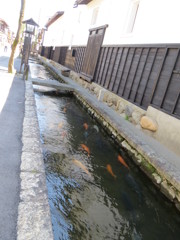 飛騨古川 