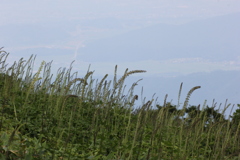 高原の涼を求めて