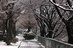 雪の堀川 001