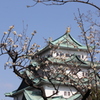 金シャチと梅