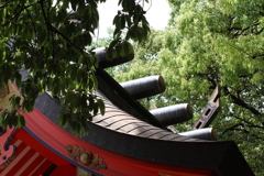 漂う風格